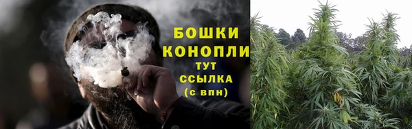 каннабис Аркадак