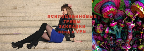 меф Арсеньев