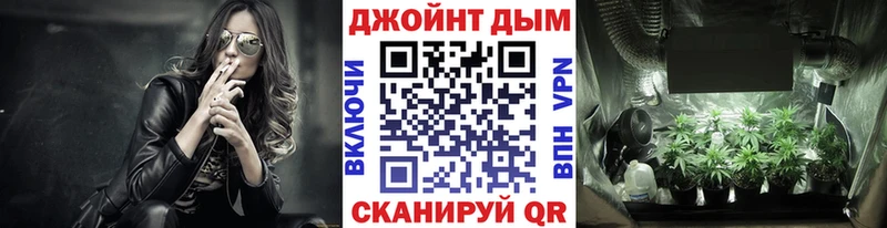Бошки Шишки VHQ  Арск 